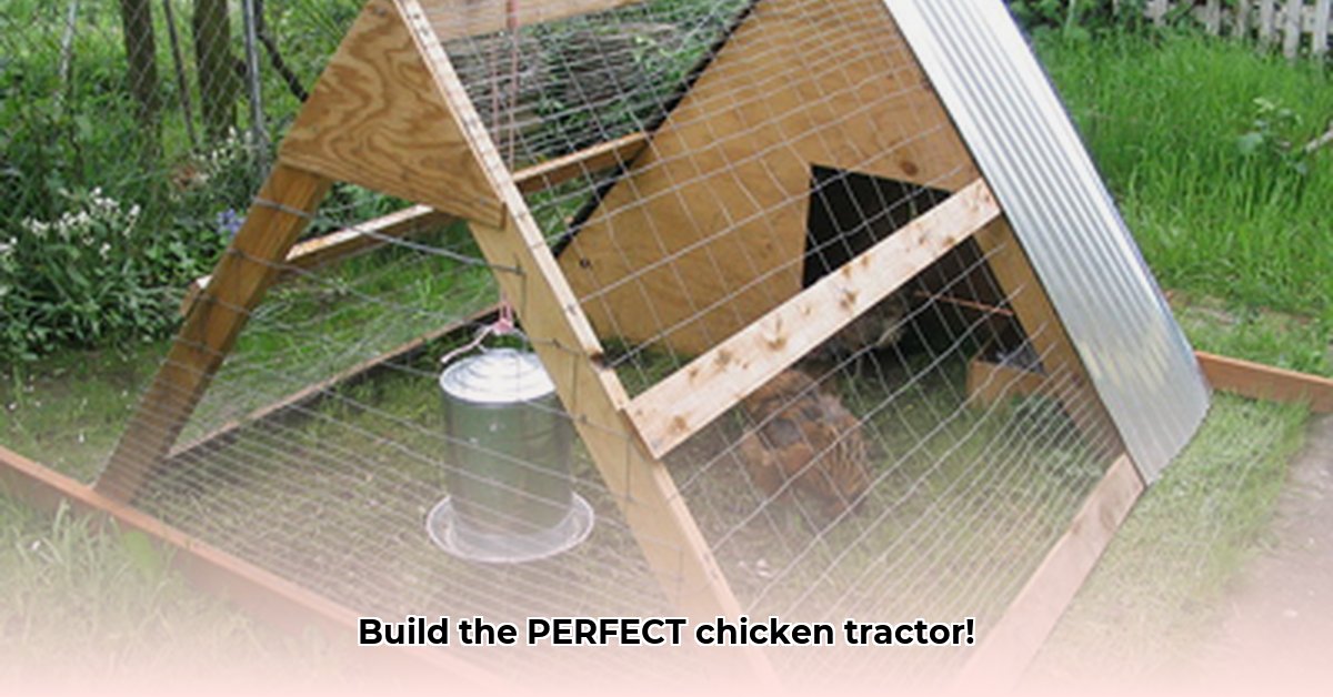 chicken-tractor-size